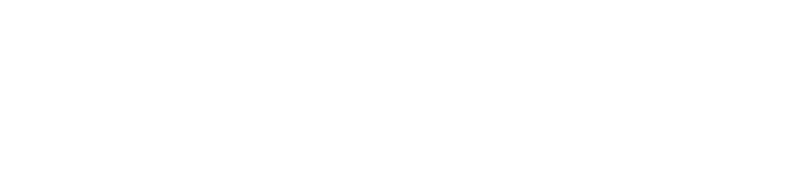 NLVISUALS